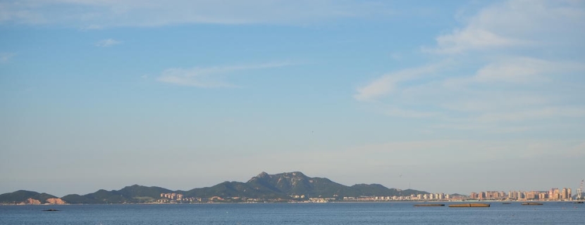 “啥时出海打捞浒苔呢？”