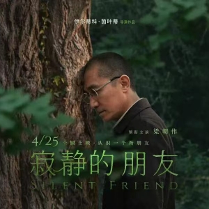 拥抱一棵树，或者，让树拥抱你