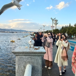 昭通：“十五五”将重点打好三场“硬仗”、健全三项机制